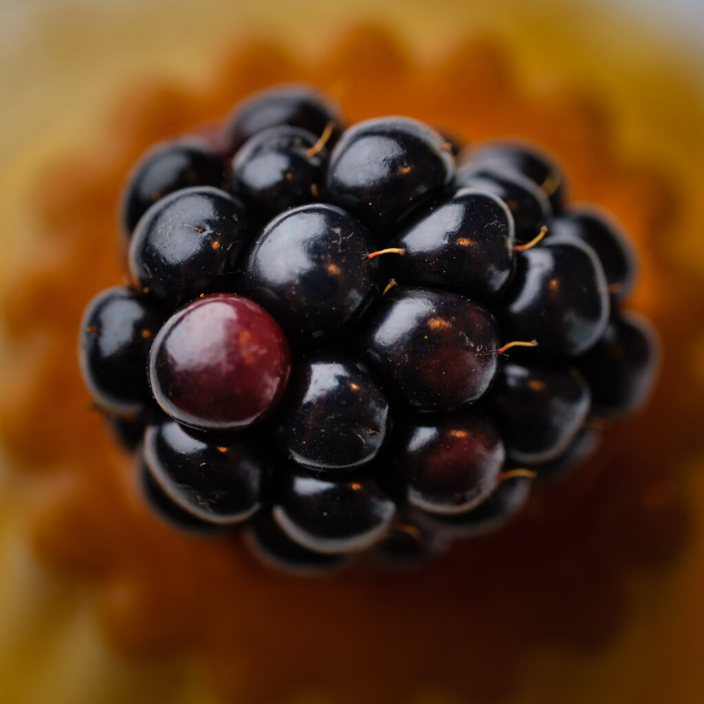 Macro foodfotografie uit de hand van bramen met glanzende druppels