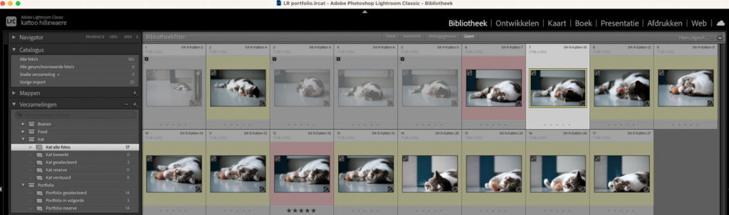 Foto's selecteren in Lightroom Classic bij het portfolio samenstellen