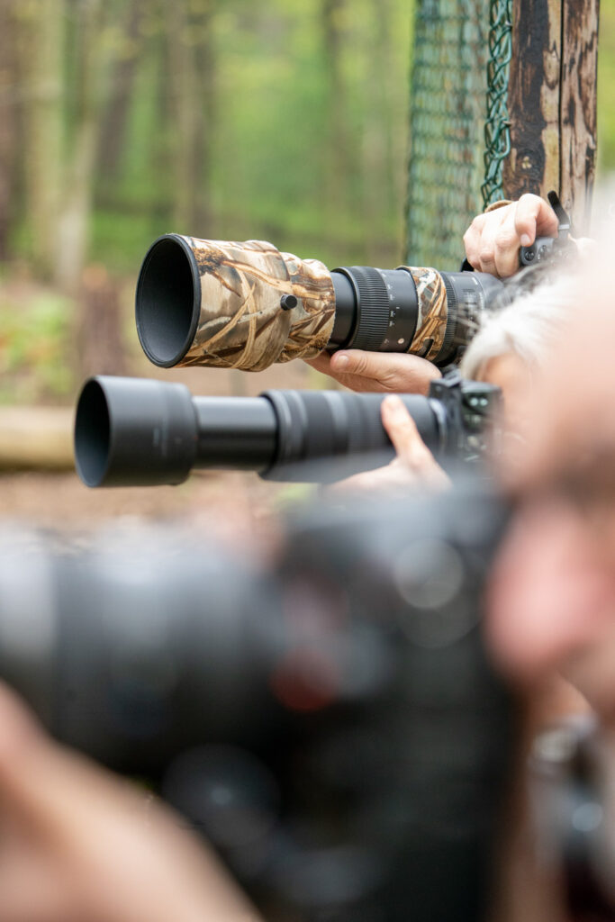 Fotograaf met telelens in een wildpark voor wildlifefotografie