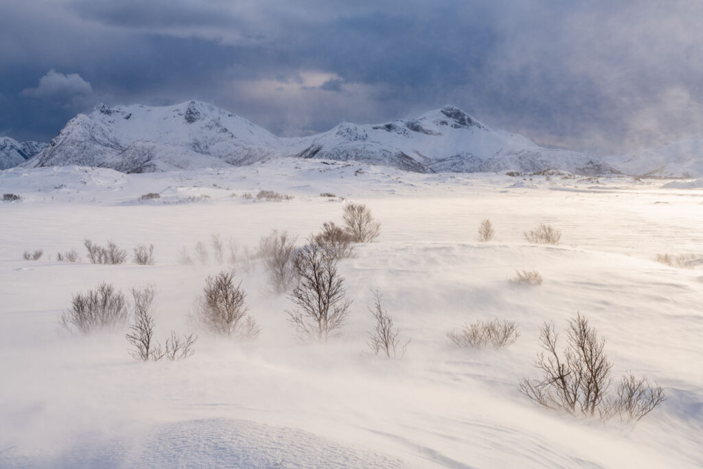 Slecht weer fotografie van stuifsneeuw die een besneeuwd landschap een arctisch karakter geeft