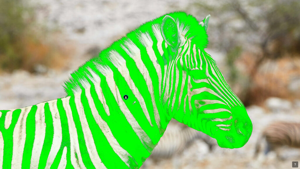 U Point-pipet die een AI-masker op een zebra verfijnt in DxO PhotoLab 10