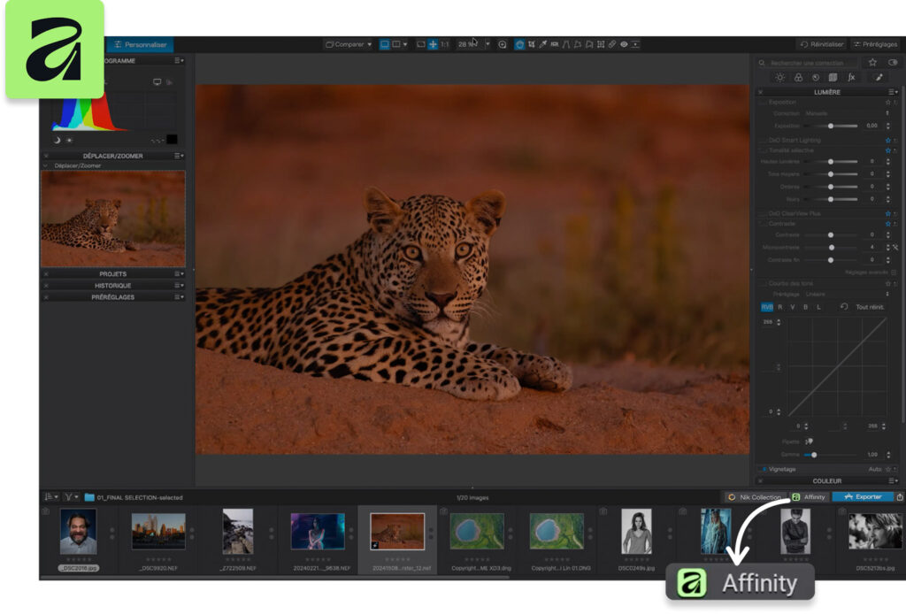 Nieuwe Affinity-exportknop in DxO PhotoLab 10 naast een foto van een luipaard