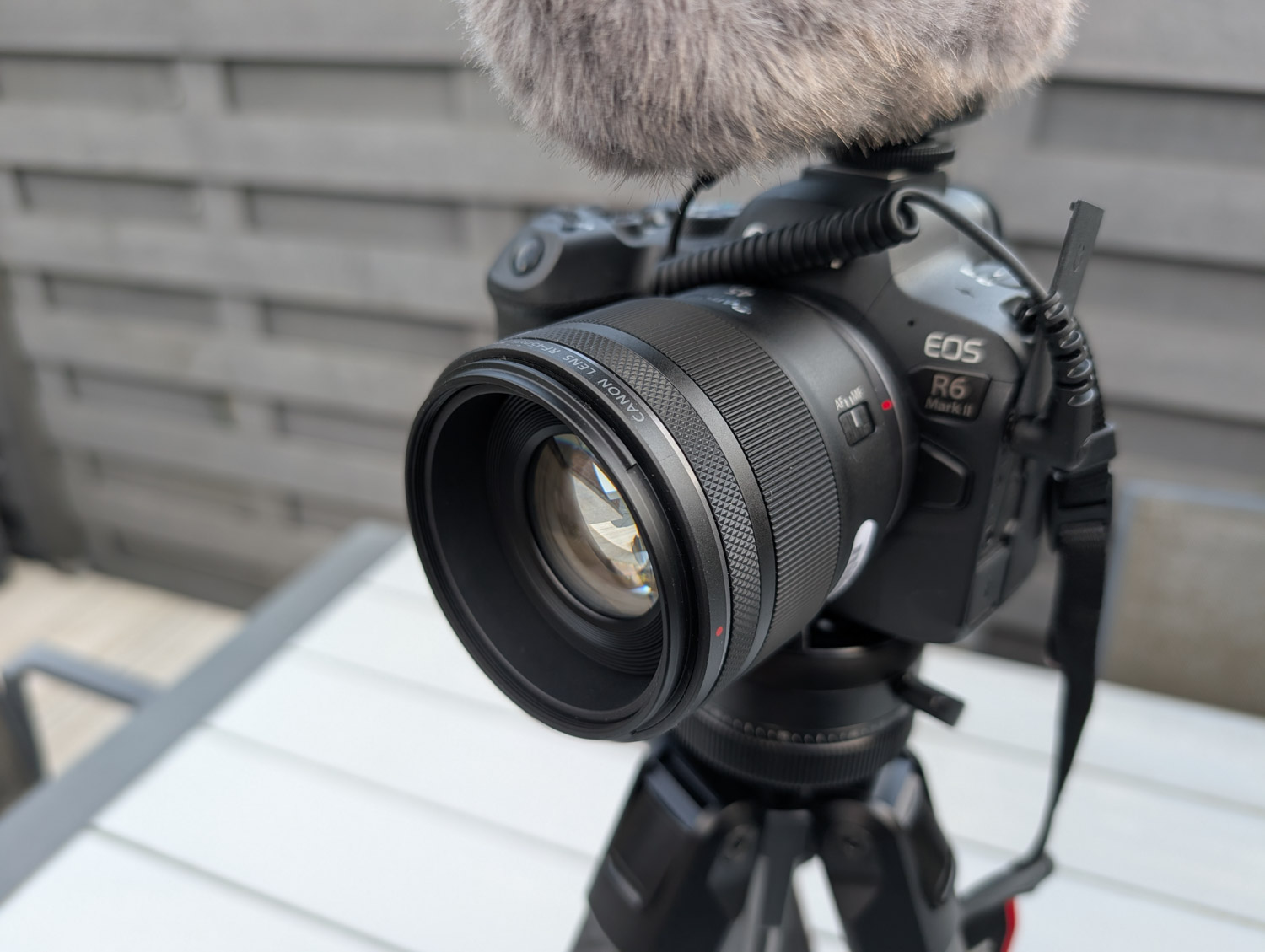 Canon 45mm lens EOS R6 II camera en microfoon