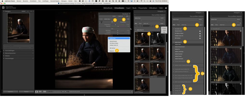 Profielbrowser in Lightroom Classic met Lightroom profielen in rasterweergave, favorieten, Adobe-profielen en Creatieve profielen