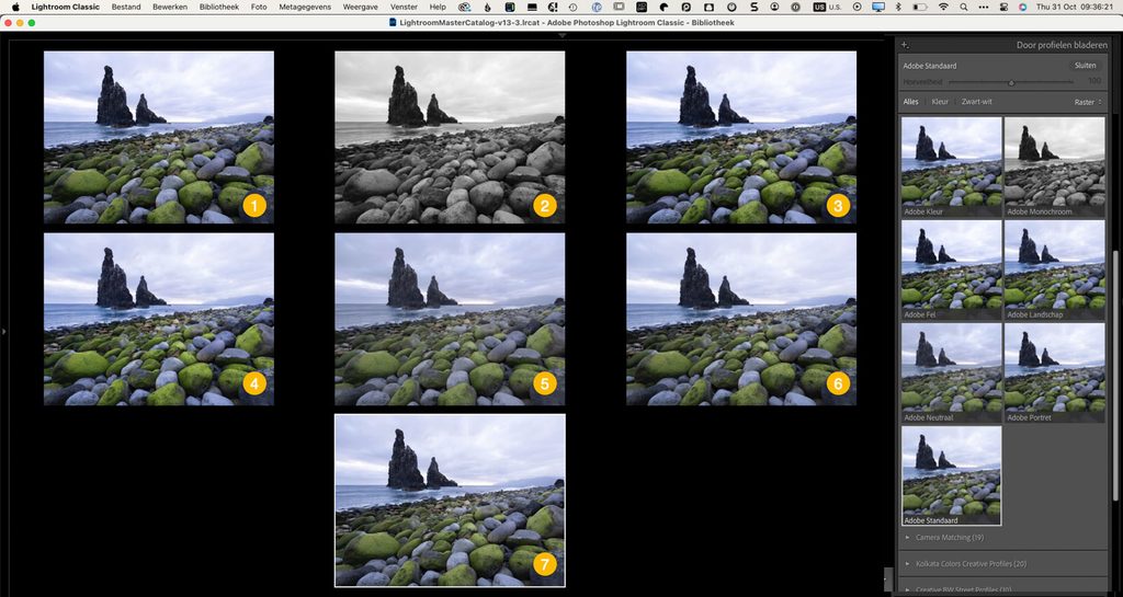 Lightroom profielen vergeleken op een rotskust op Madeira: Adobe Kleur, Adobe Fel, Adobe Landschap en Adobe Monochroom