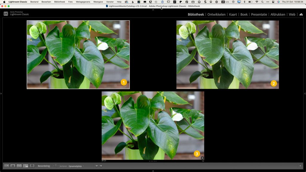 Lightroom profielen voor Fujifilm: Velvia-JPEG naast RAW met Adobe Kleur en RAW met Camera Matching profiel Velvia