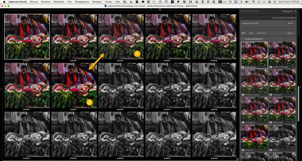 Lightroom profielen voor een Fujifilm-camera: Camera Matching profielen van het vlakke Eterna Cinema tot het verzadigde Velvia
