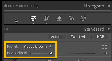 Hoeveelheid-regelaar voor Creatieve Lightroom profielen in het Standaardpaneel, ingesteld op profiel Moody Browns