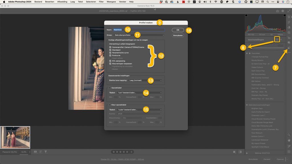 Dialoogvenster Profiel maken in Camera Raw om zelf Creatieve Lightroom profielen te maken
