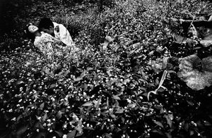 © Eikoh Hosoe, courtesy of IBASHO