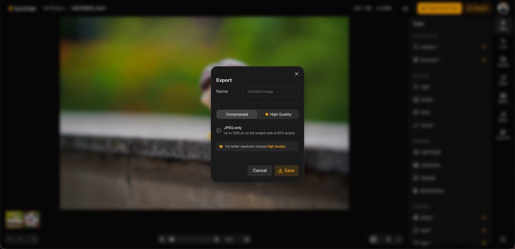 Luminar on Web exporteren