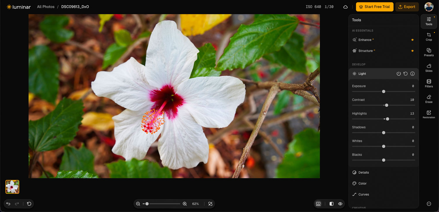 Luminar on Web editing voorbeeld